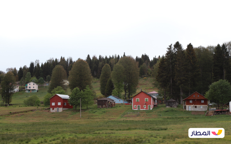 Have You Tried Staying in a Cottage Amidst Nature