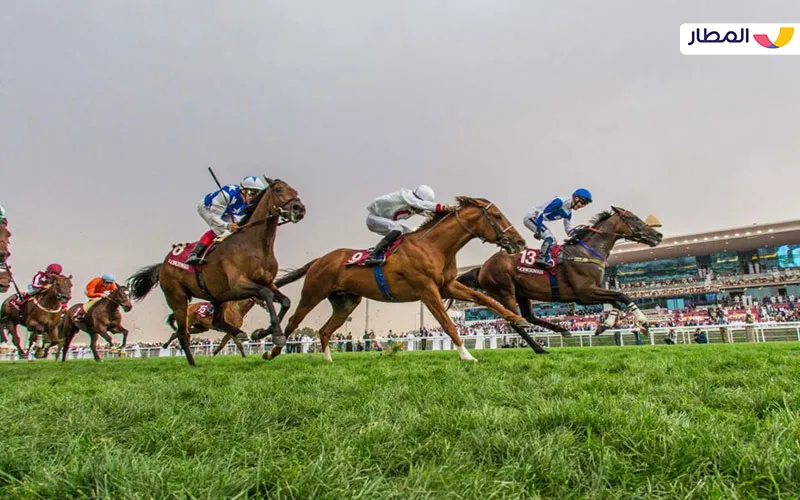 Racing and Equestrian Club Qatar