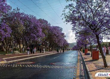 Abha: One of the Most Important Tourist Attractions in Saudi Arabia