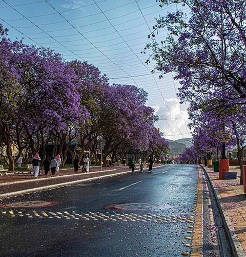 5 مناطق سياحية في ابها