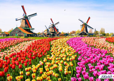 رحلة فريدة في أمستردام مدينة الحب