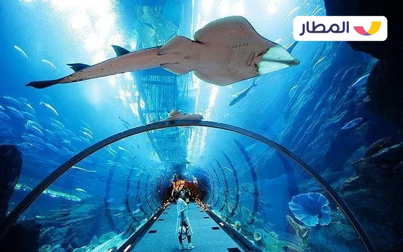 Dubai Aquarium