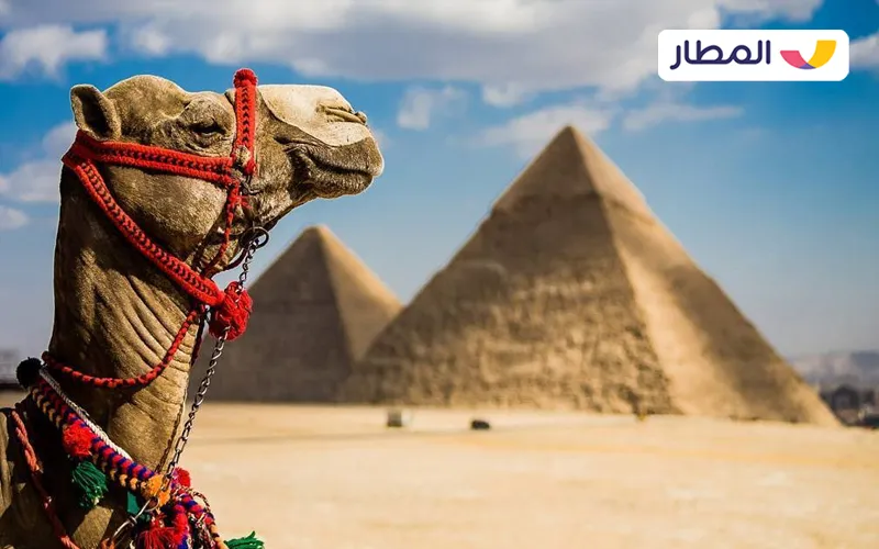 Travel in the summer season to Egypt!