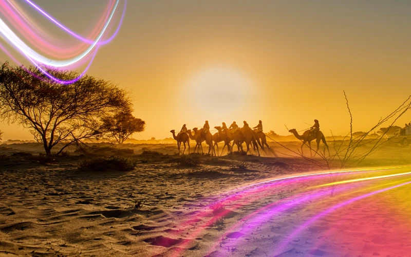 Desert-safari-tours-3