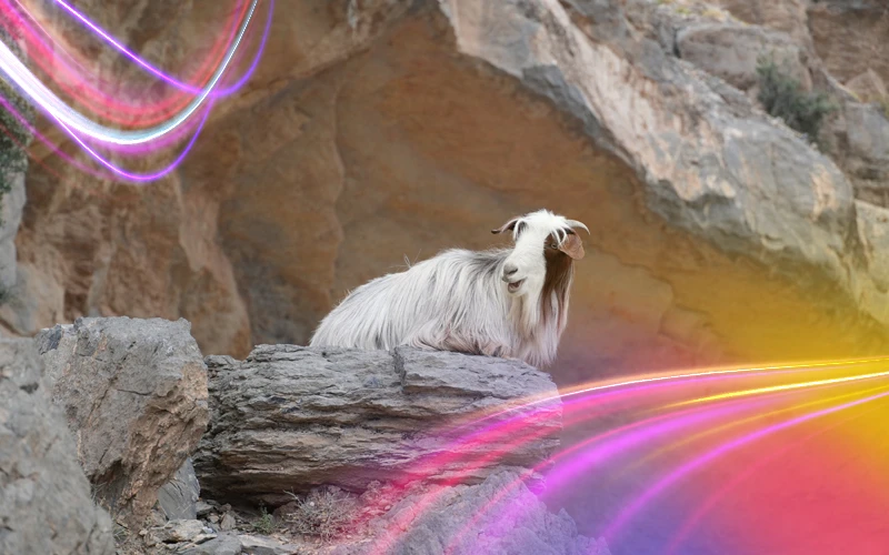 Jebel-Shams
