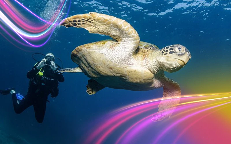 Scuba-diving-and-snorkeling-at-the-Daymaniyat-Islands-2