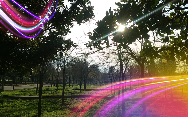 Al-Hussein-Gardens-A-Family-Oasis-in-the-Jordanian-Capital
