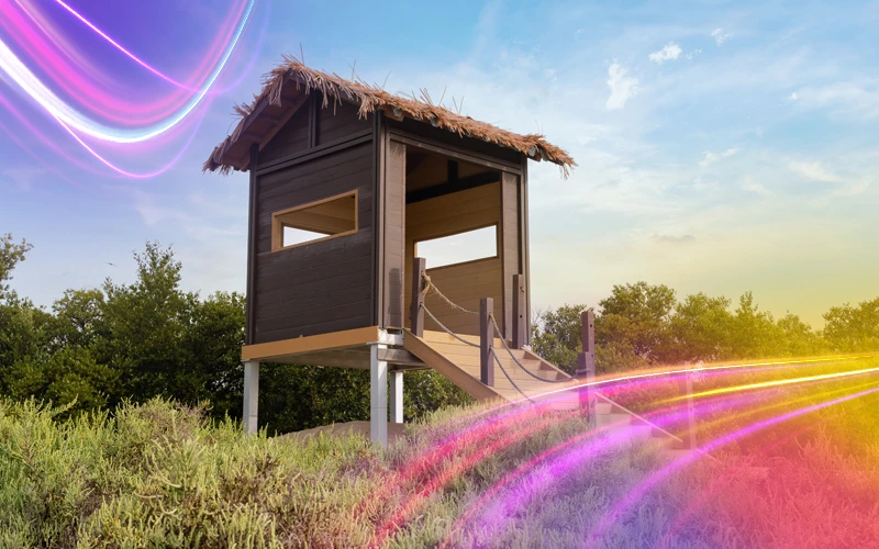 Al-Khor-Island-birthplace-of-the-color-purple