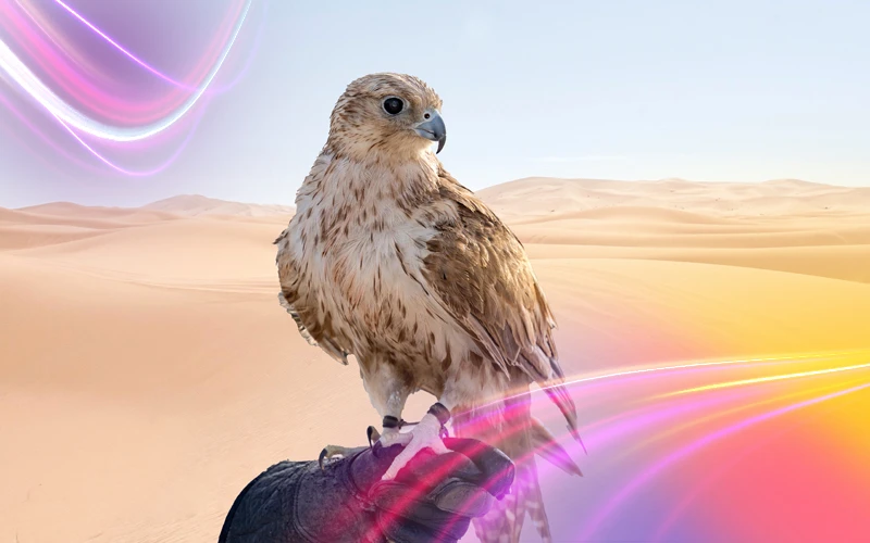 Al-Thumama-Desert