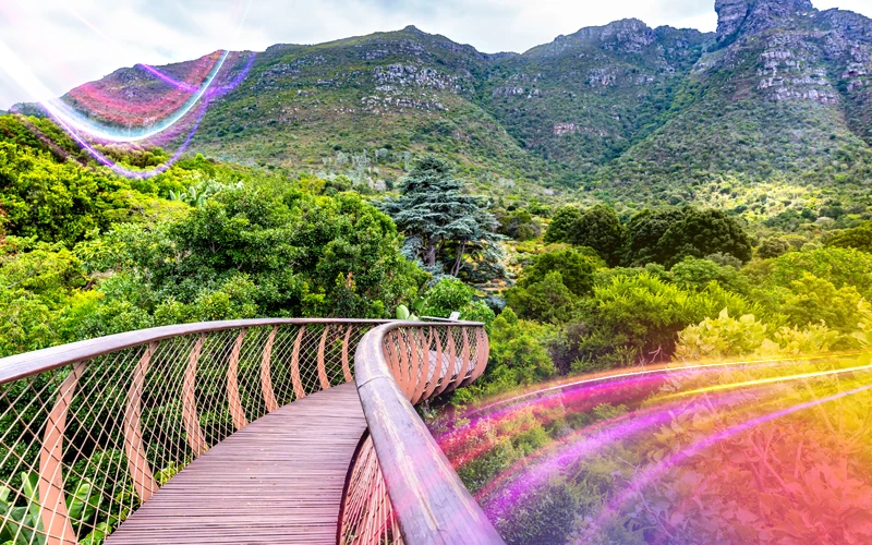 Cape-Town,-South-Africa