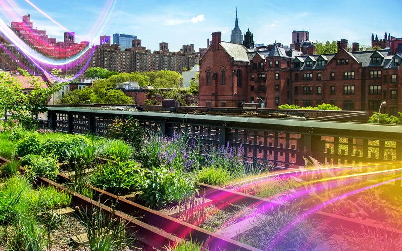High-Line-The-suspended-park-above-Manhattan
