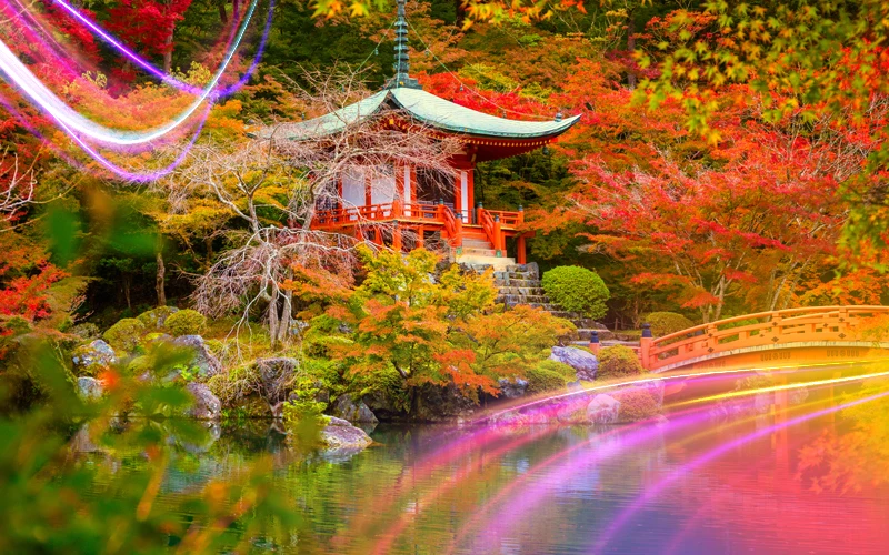 In-November,-Japan-tells-its-stories-in-the-colors-of-autumn