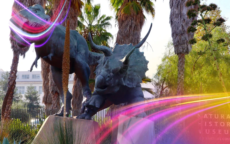 Natural-History-Museum-of-Los-Angeles