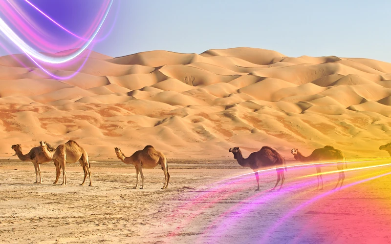 Nature-in-Oman-The-other-face-of-Gulf-nature
