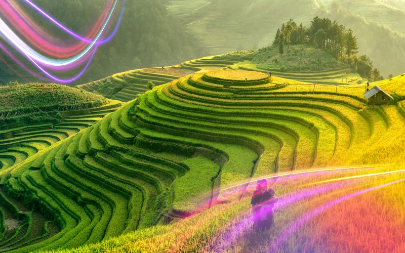 Vietnam-Asian-Nature-with-a-Different-Tone