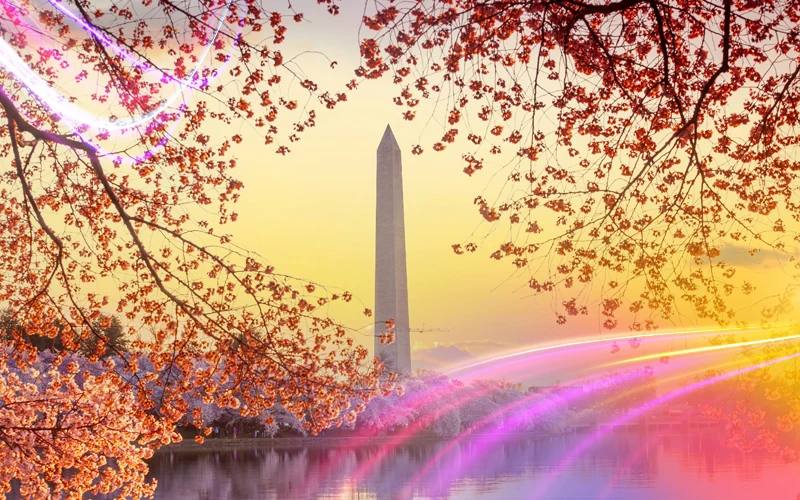 Washington-Spring-Blooming-Beauty-and-Mild-Weather-1