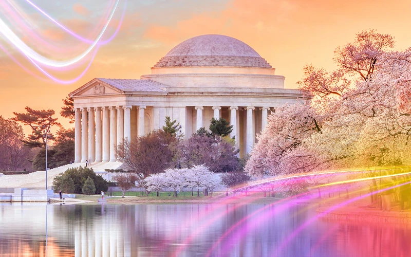 Washington-Spring-Blooming-Beauty-and-Mild-Weather-2