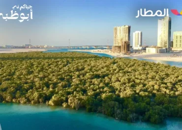 Top Things to Do in Reem Island for a Perfect Day Out