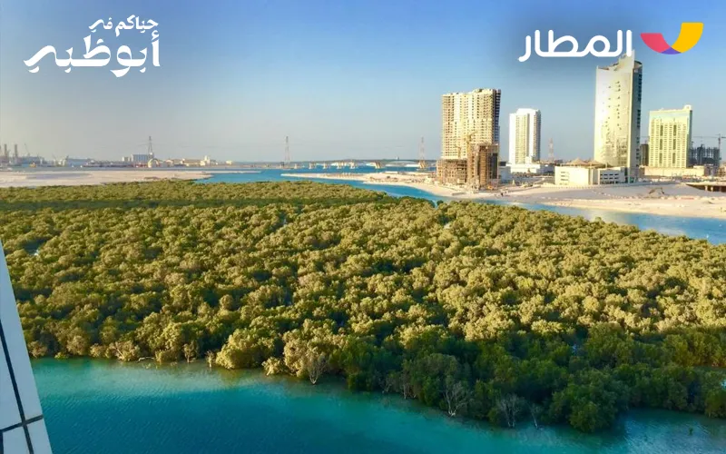 Top Things to Do in Reem Island for a Perfect Day Out