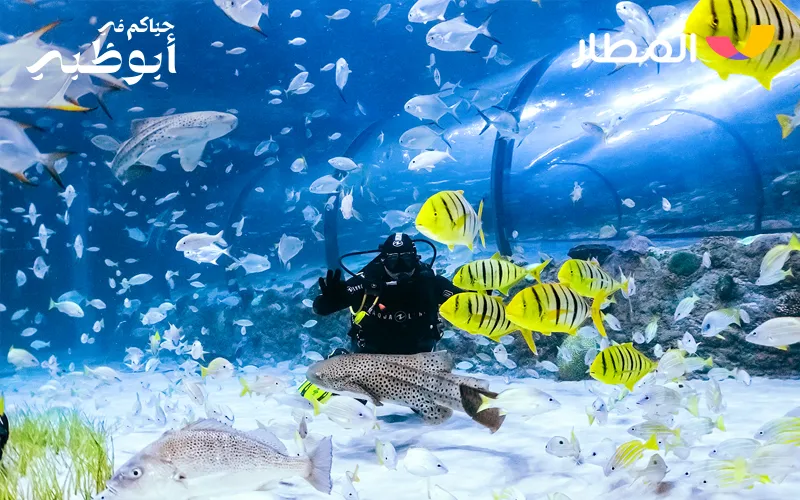 2 Land and Marine Life- Immersion in Enchanting Nature