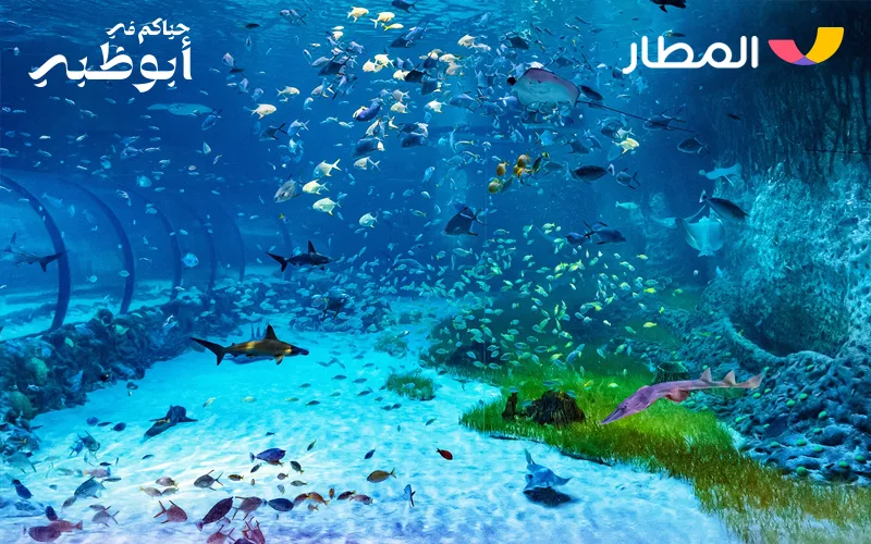 2 Land and Marine Life- Immersion in Enchanting Nature2