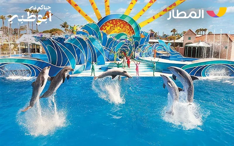 2 SeaWorld Activities 2