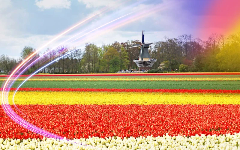 Amsterdam-Netherlands-tulip-fields-and-charming-gardens-1
