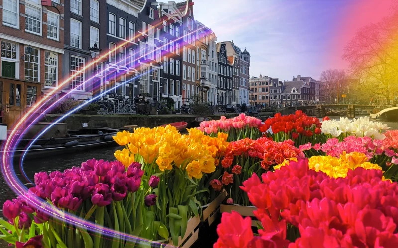 Amsterdam-Netherlands-tulip-fields-and-charming-gardens-4