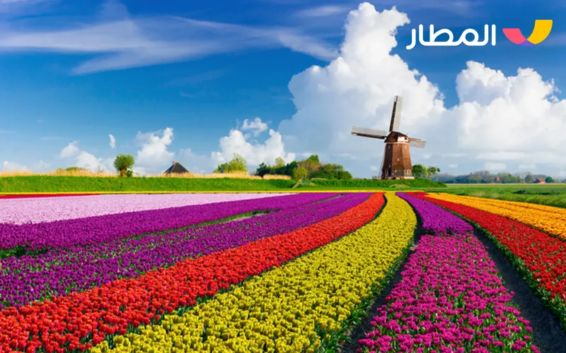 Amsterdam- Netherlands, tulip fields, and charming gardens 4