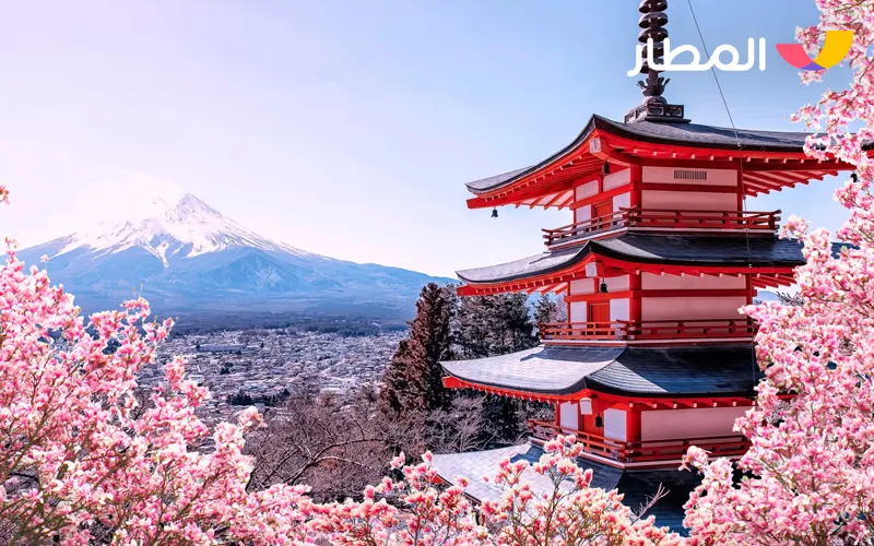 Kyoto, Japan- cherry blossoms and deep traditions 2 3