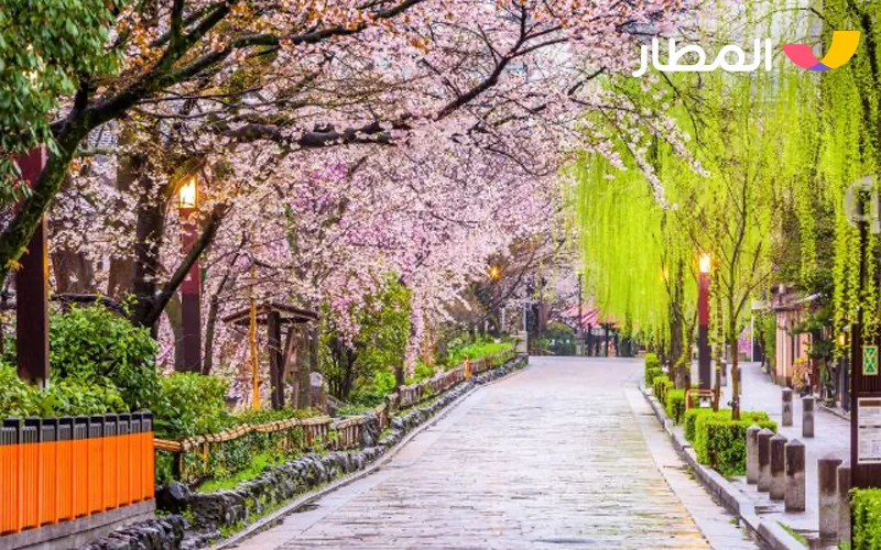 Kyoto, Japan- cherry blossoms and deep traditions 4