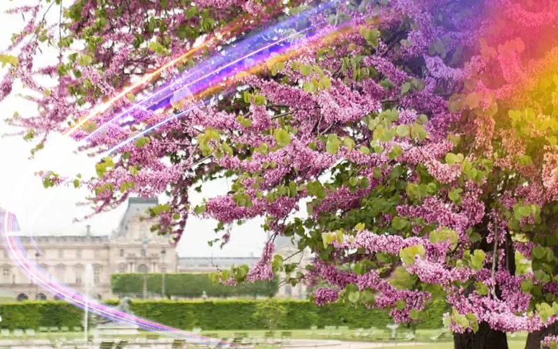 Paris-France-the-magic-of-spring-and-romance-4