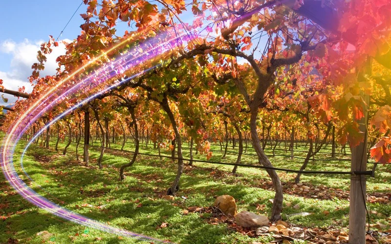 South-Africa-exciting-safari-in-autumn-weather-2