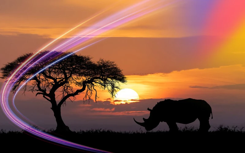 South-Africa-exciting-safari-in-autumn-weather-3