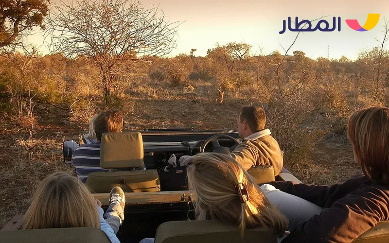 South Africa- exciting safari in autumn weather 3