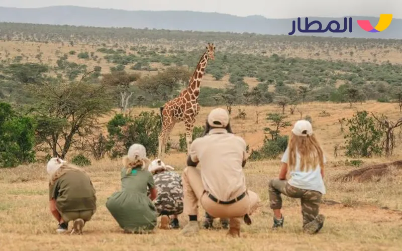 South Africa- exciting safari in autumn weather 4