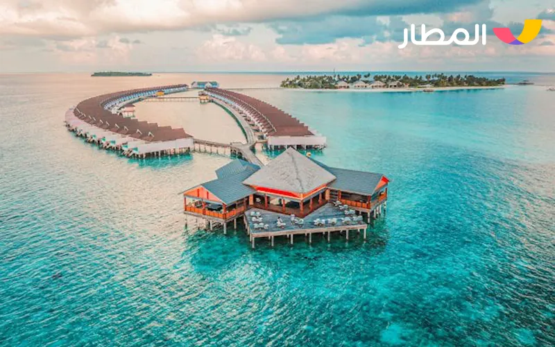 The Maldives- tropical beaches and magical marine life 3