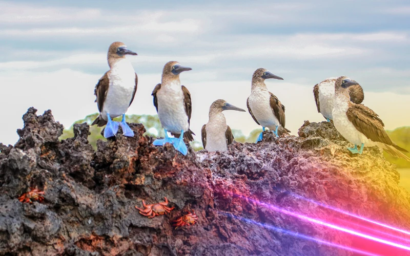 Ecuador-Stunning-Natural-Diversity