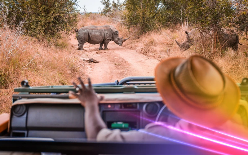 South-Africa-Dream-Safari-in-the-Dry-Winter