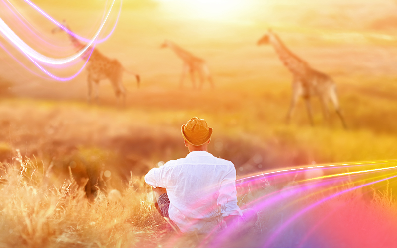 Kenya-Dream-safari-and-the-Great-Migration