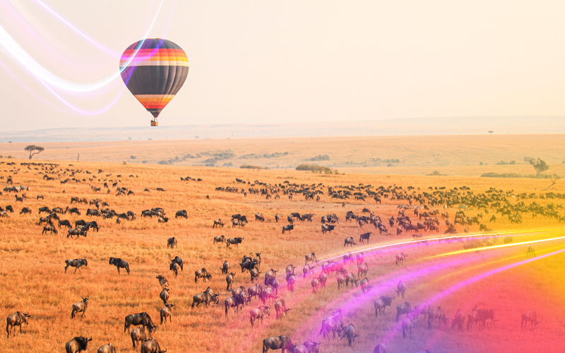 Kenya-Dream-safari-and-the-Great-Migration