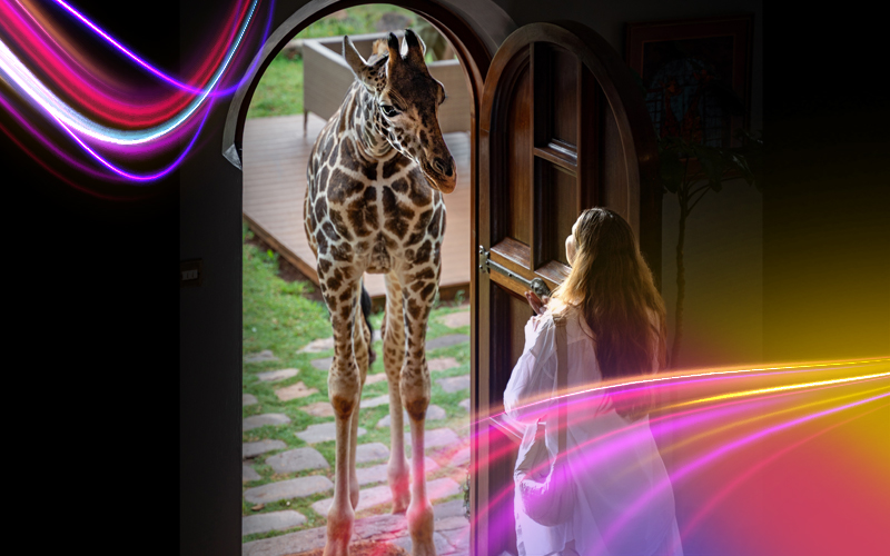 Kenya-Dream-safari-and-the-Great-Migration