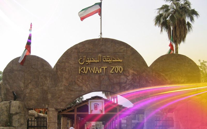 Kuwait-Zoo-A-World-of-Wildlife