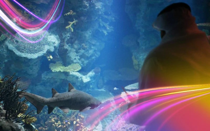 An-Underwater-World-at-The-Scientific-Center-of-Kuwait