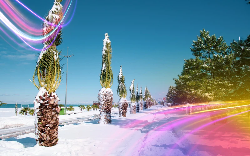 Batumi Georgia Weather Throughout the Year