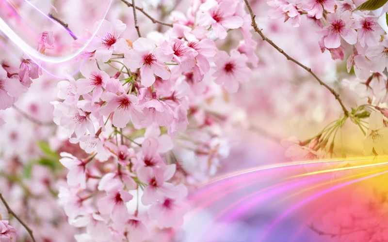 Best Time to Travel to Korea 1