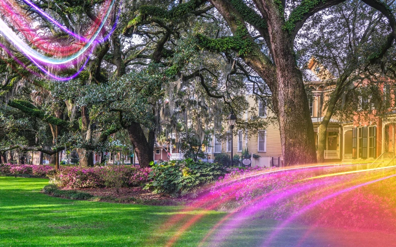 Best Time to Visit Georgia