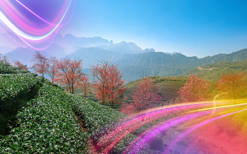 Best Time to Visit Vietnam