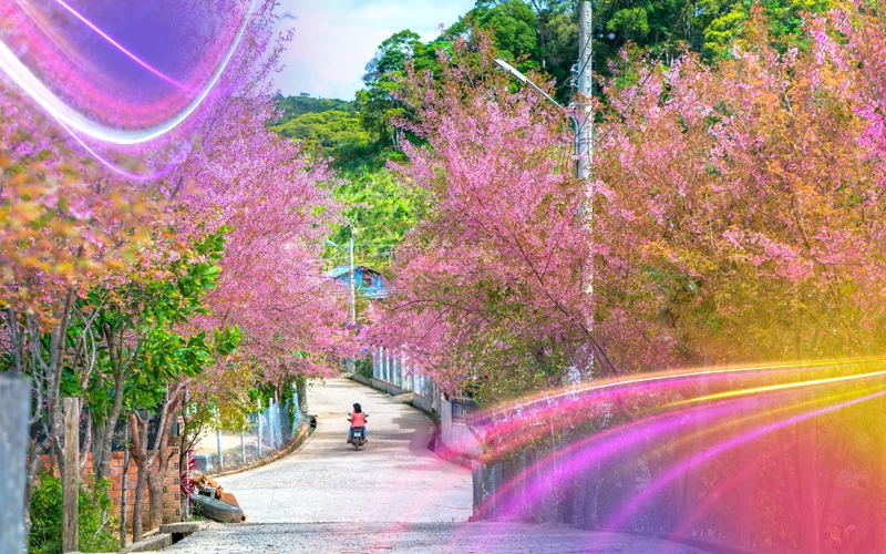 Best Time to Visit Vietnam