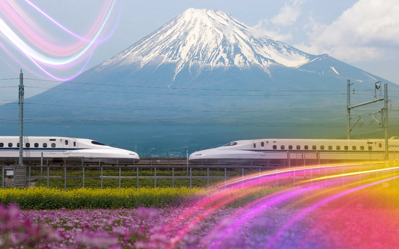 Tokyo Where to Base Yourself